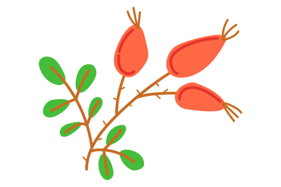 Designing with the Rosehip Branch Color Icon