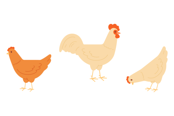 Farm Poultry Font: A Colorful Take on Chicken & Rooster Design